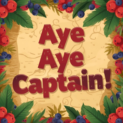 Aye Aye Captain!